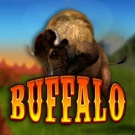 Bingo logo of Buffalo Bingo from MGA Games at Robocat Casino